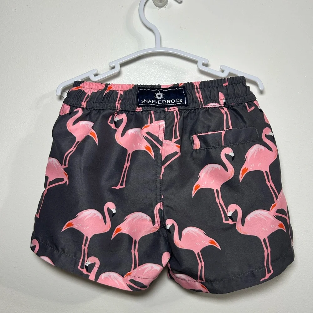 Snapper Rock Pink and Gray Flamingo Boys Swim Shorts
